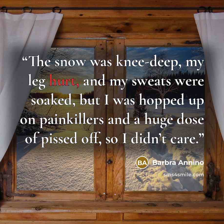 “The snow was knee-deep, my leg hurt, and my sweats were soaked, but I was hopped up on painkillers and a huge dose of pissed off, so I didn’t care.” quote by Barbra Annino