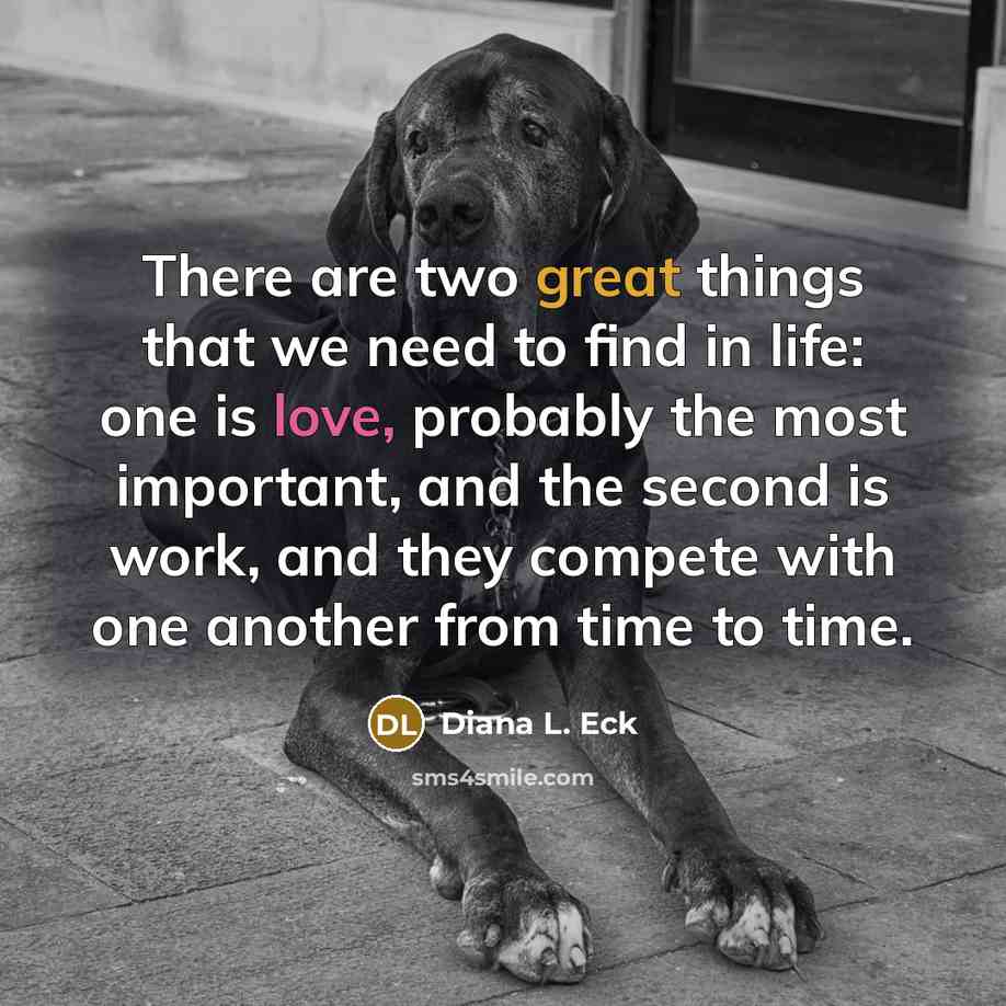 “There are two great things that we need to find in life: one is love, probably the most important, and the second is work, and they compete with one another from time to time.” quote by Diana L. Eck