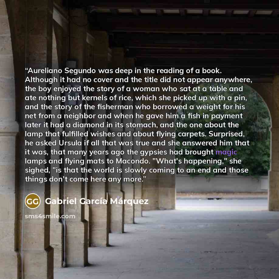 “Aureliano Segundo was deep in the reading of a book. Although it had no cover and the title did not appear anywhere, the boy enjoyed the story of a woman who sat at a table and ate nothing but kernels of rice, which she picked up with a pin, and the story of the fisherman who borrowed a weight for…” quote by Gabriel García Márquez