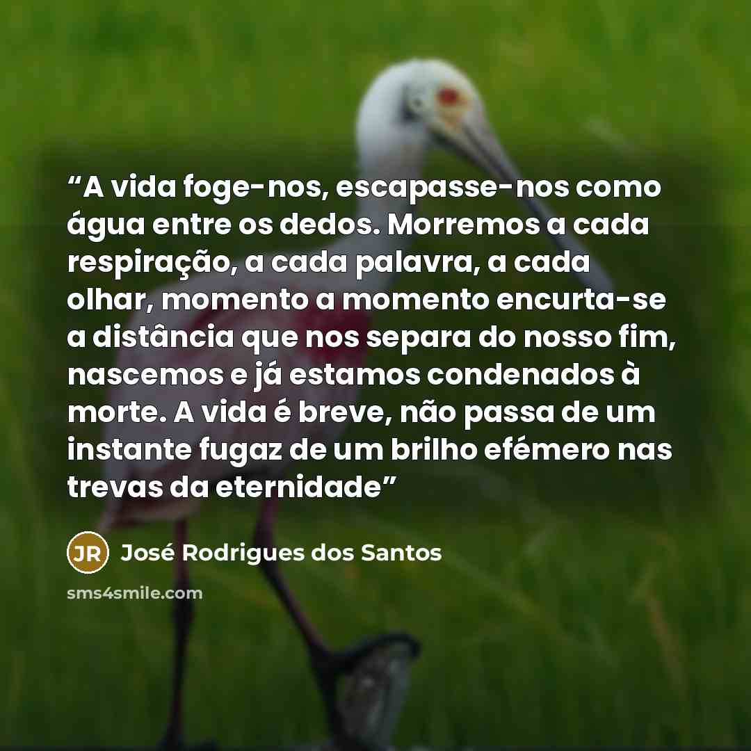 “A vida foge-nos, escapasse-nos como água entre os dedos. Morremos a cada respiração, a cada palavra, a cada olhar, momento a momento encurta-se a distância que nos separa do nosso fim, nascemos e já estamos condenados à morte. A vida é breve, não passa de um instante fugaz de um brilho efémero nas…” quote by José Rodrigues dos Santos