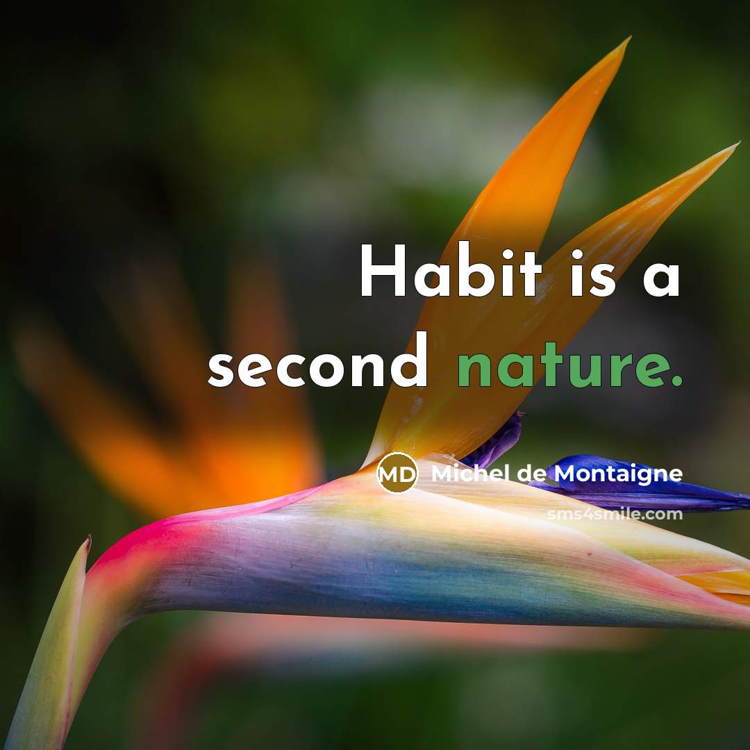 “Habit is a second nature.” quote by Michel de Montaigne