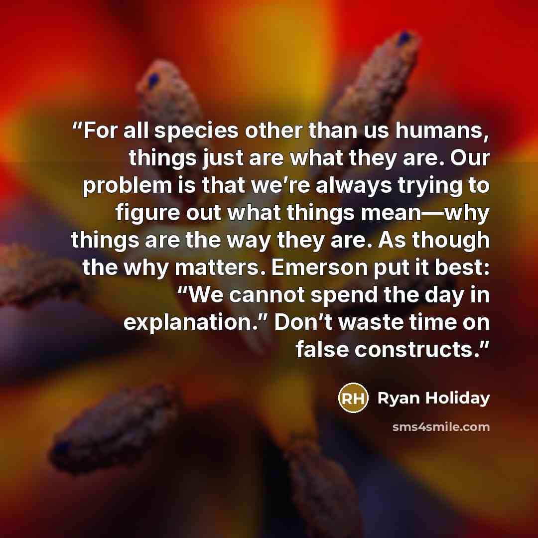 “For all species other than us humans, things just are what they are. Our problem is that we’re always trying to figure out what things mean—why things are the way they are. As though the why matters. Emerson put it best: “We cannot spend the day in explanation.” Don’t waste time on false constructs.” quote by Ryan Holiday