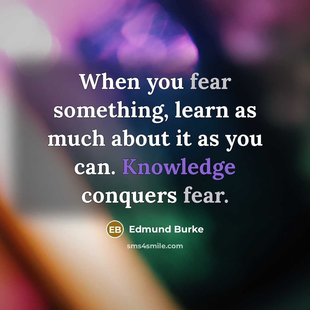 “When you fear something, learn as much about it as you can. Knowledge conquers fear.” quote by Edmund Burke