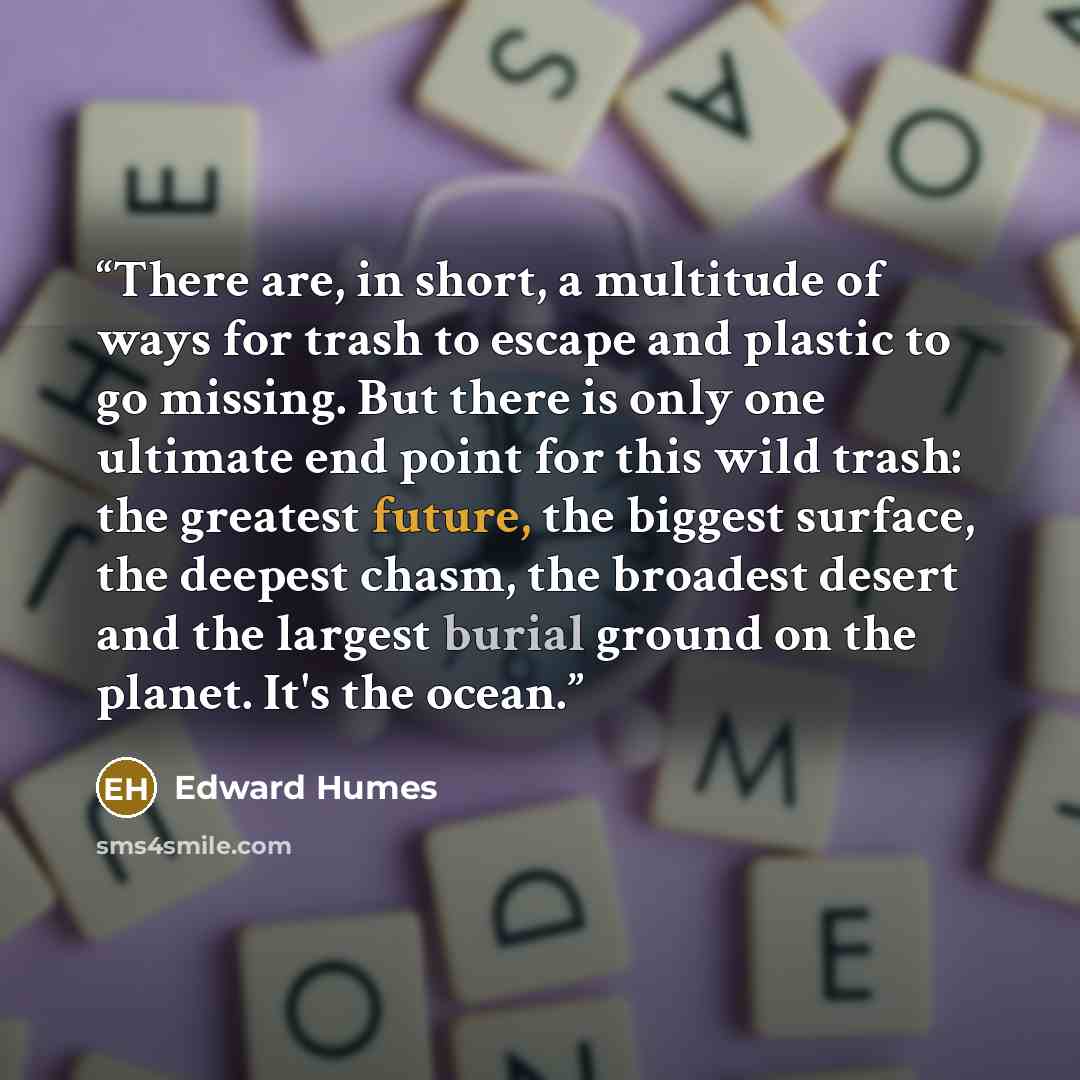“There are, in short, a multitude of ways for trash to escape and plastic to go missing. But there is only one ultimate end point for this wild trash: the greatest future, the biggest surface, the deepest chasm, the broadest desert and the largest burial ground on the planet. It's the ocean.” quote by Edward Humes