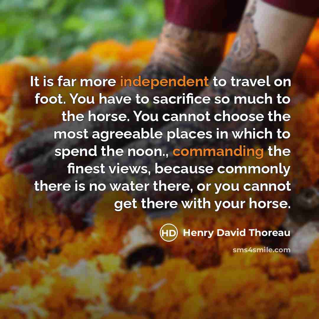 “It is far more independent to travel on foot. You have to sacrifice so much to the horse. You cannot choose the most agreeable places in which to spend the noon., commanding the finest views, because commonly there is no water there, or you cannot get there with your horse.” quote by Henry David Thoreau