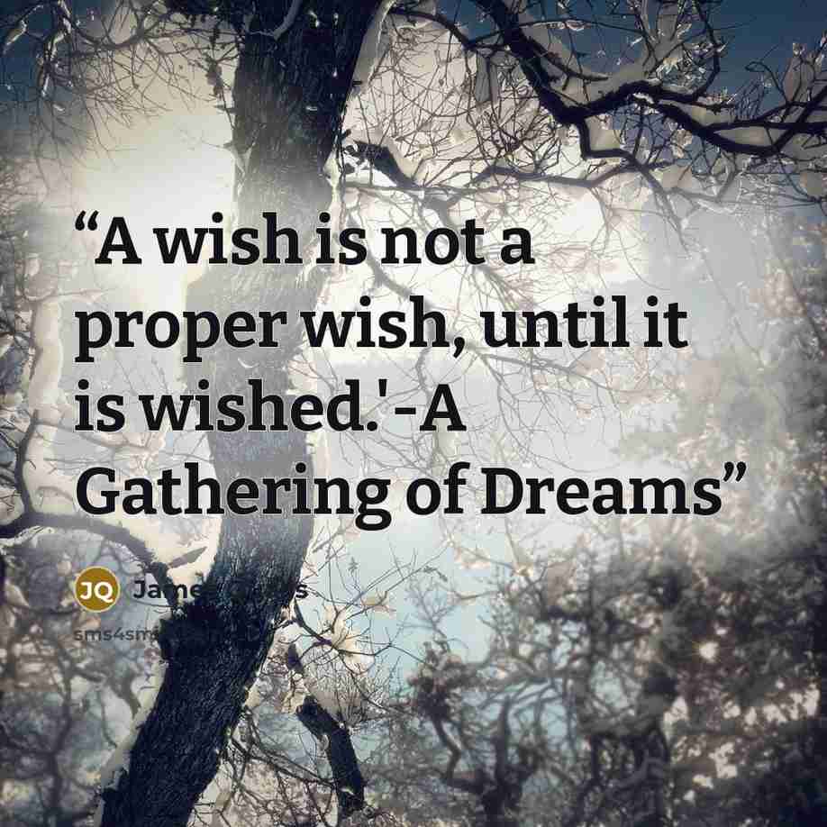 “A wish is not a proper wish, until it is wished.'-A Gathering of Dreams” quote by James Qualls