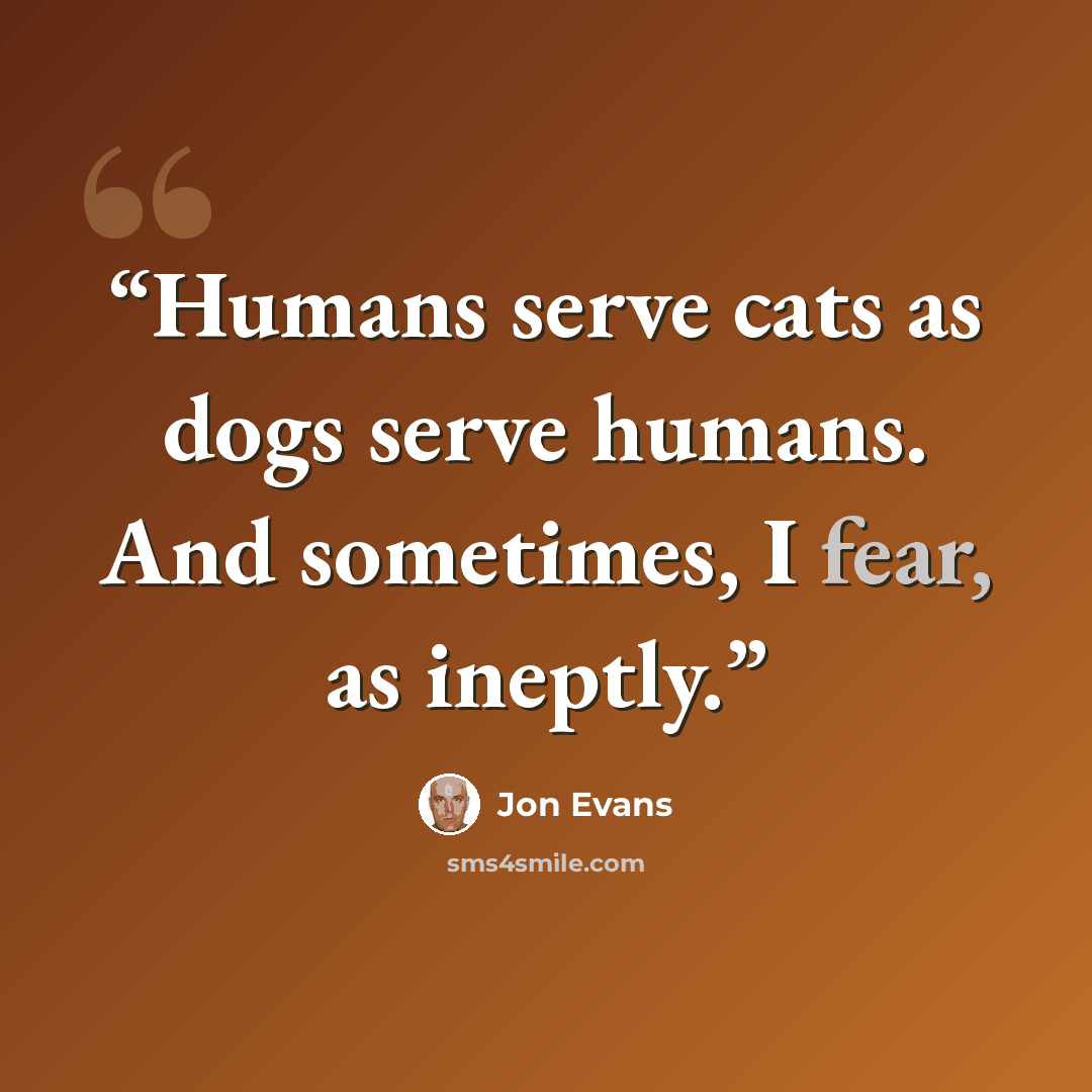 “Humans serve cats as dogs serve humans. And sometimes, I fear, as ineptly.” quote by Jon Evans