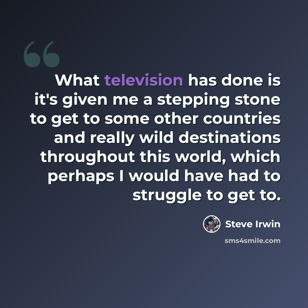 “What television has done is it's given me a stepping stone to get to some other countries and really wild destinations throughout this world, which perhaps I would have had to struggle to get to.” quote by Steve Irwin