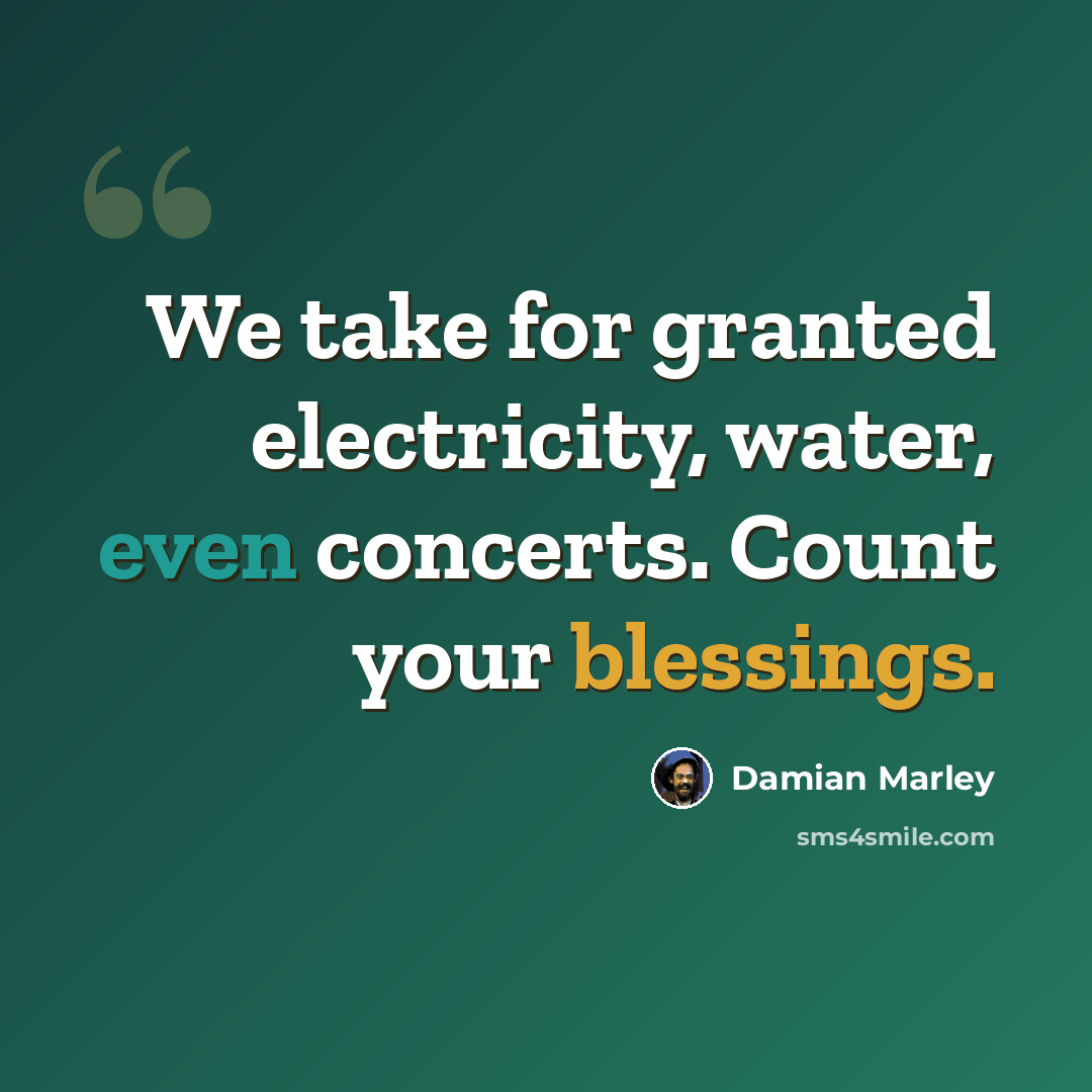 “We take for granted electricity, water, even concerts. Count your blessings.” quote by Damian Marley