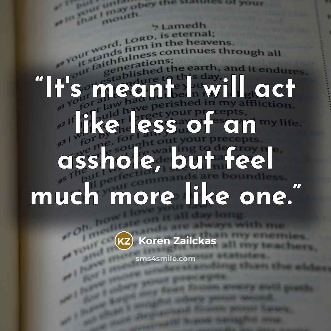 “It's meant I will act like less of an asshole, but feel much more like one.” quote by Koren Zailckas