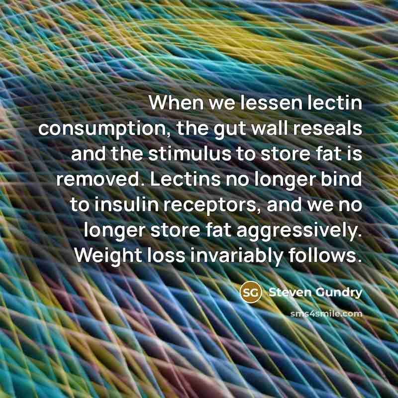“When we lessen lectin consumption, the gut wall reseals and the stimulus to store fat is removed. Lectins no longer bind to insulin receptors, and we no longer store fat aggressively. Weight loss invariably follows.” quote by Steven Gundry