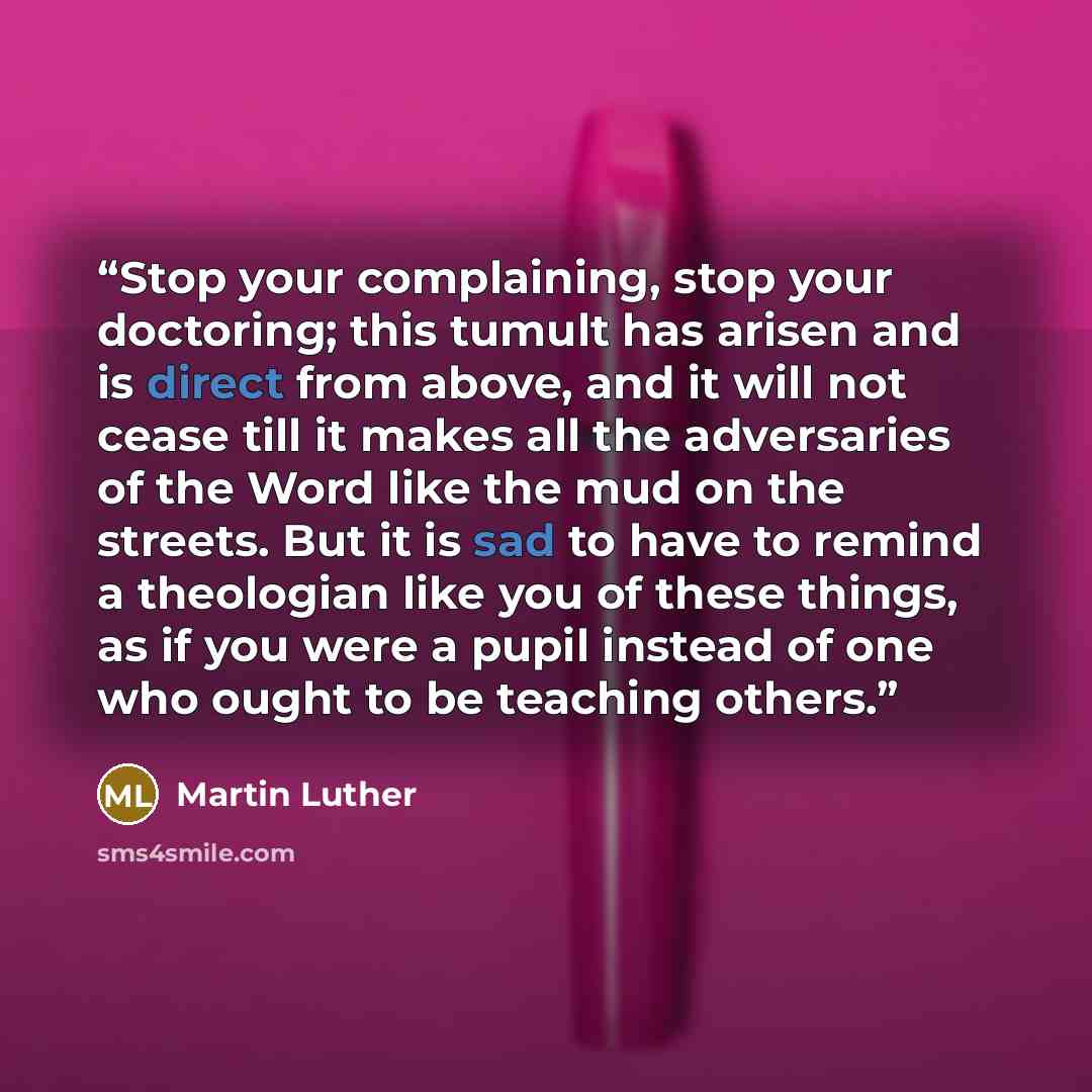 “Stop your complaining, stop your doctoring; this tumult has arisen and is direct from above, and it will not cease till it makes all the adversaries of the Word like the mud on the streets. But it is sad to have to remind a theologian like you of these things, as if you were a pupil instead of one…” quote by Martin Luther