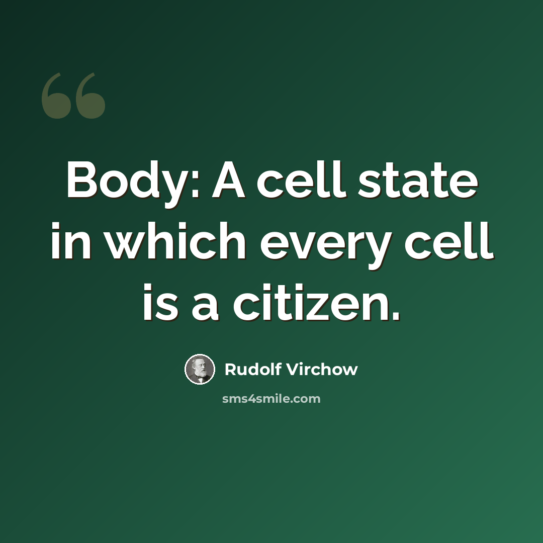 “Body: A cell state in which every cell is a citizen.” quote by Rudolf Virchow