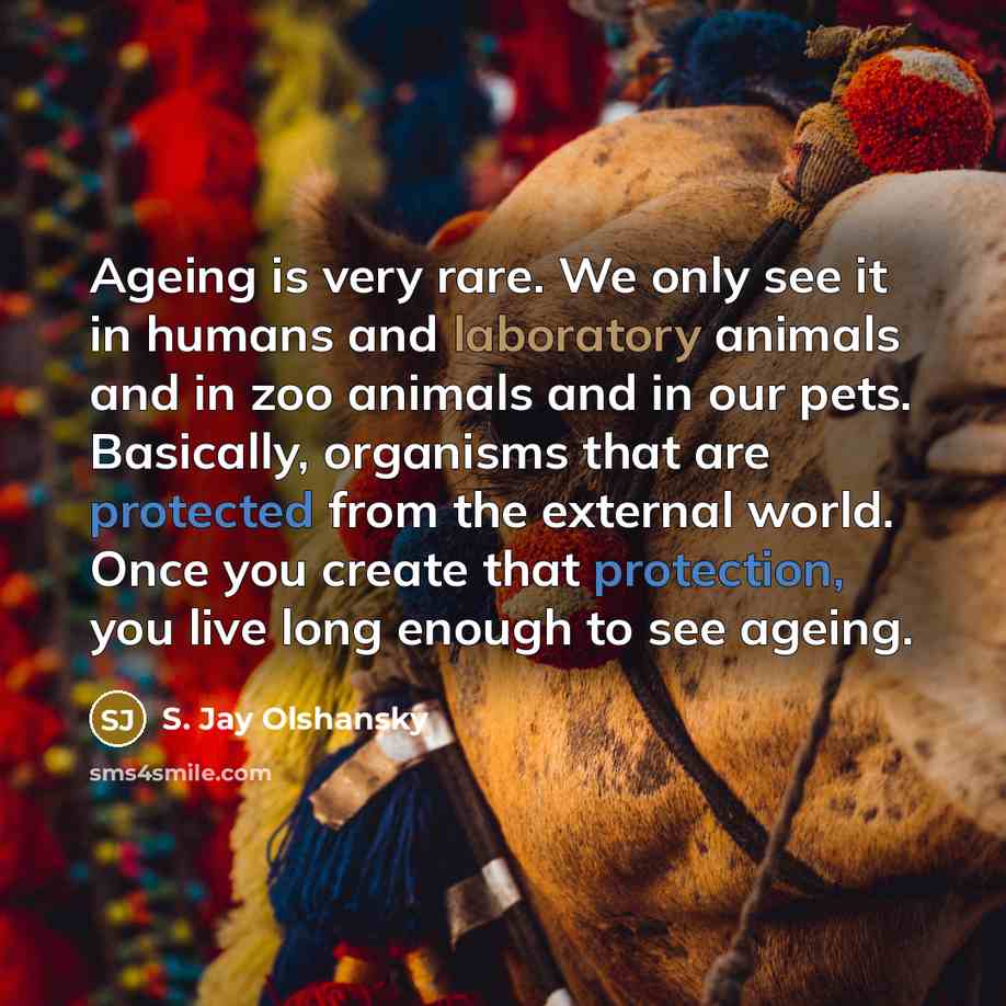 “Ageing is very rare. We only see it in humans and laboratory animals and in zoo animals and in our pets. Basically, organisms that are protected from the external world. Once you create that protection, you live long enough to see ageing.” quote by S. Jay Olshansky