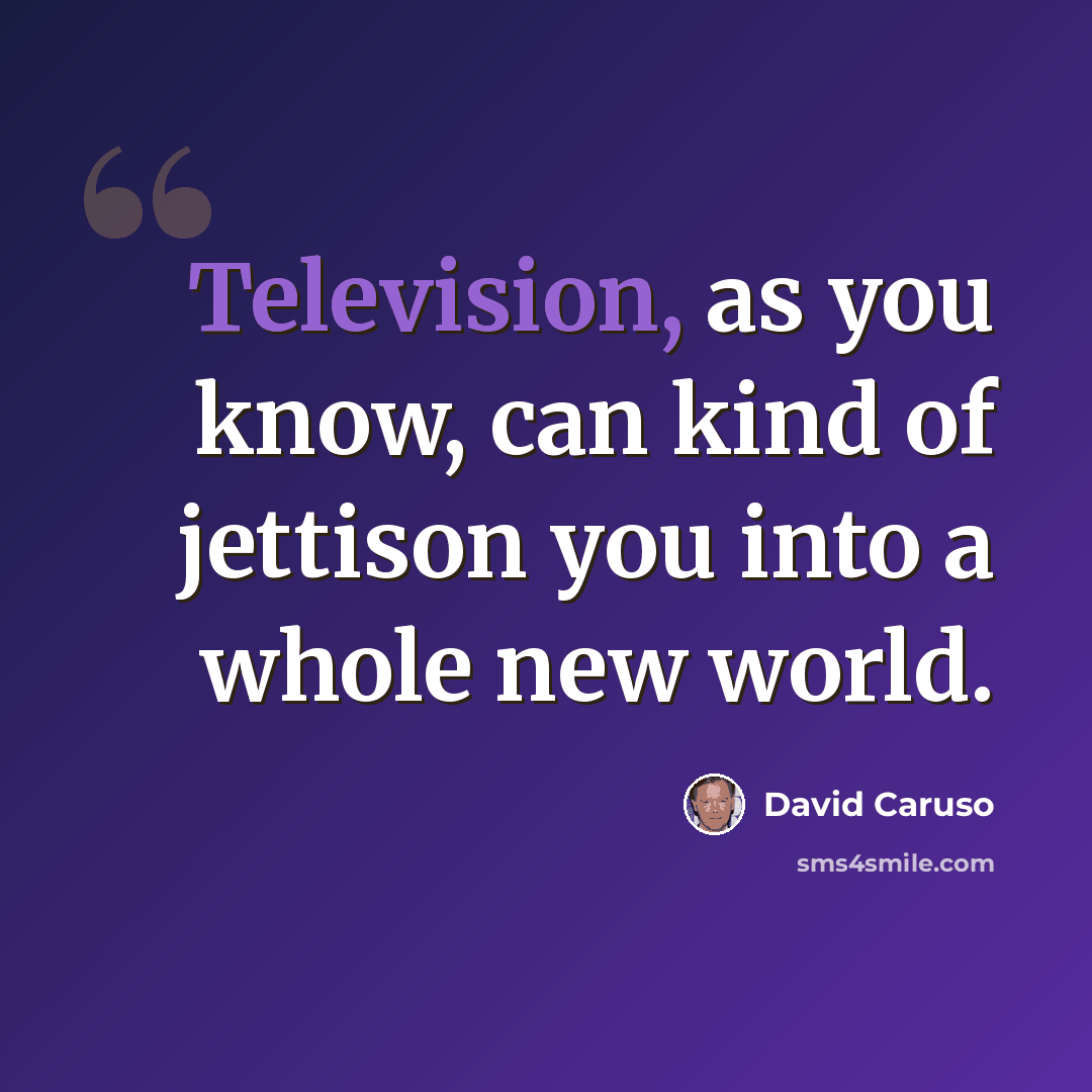“Television, as you know, can kind of jettison you into a whole new world.” quote by David Caruso
