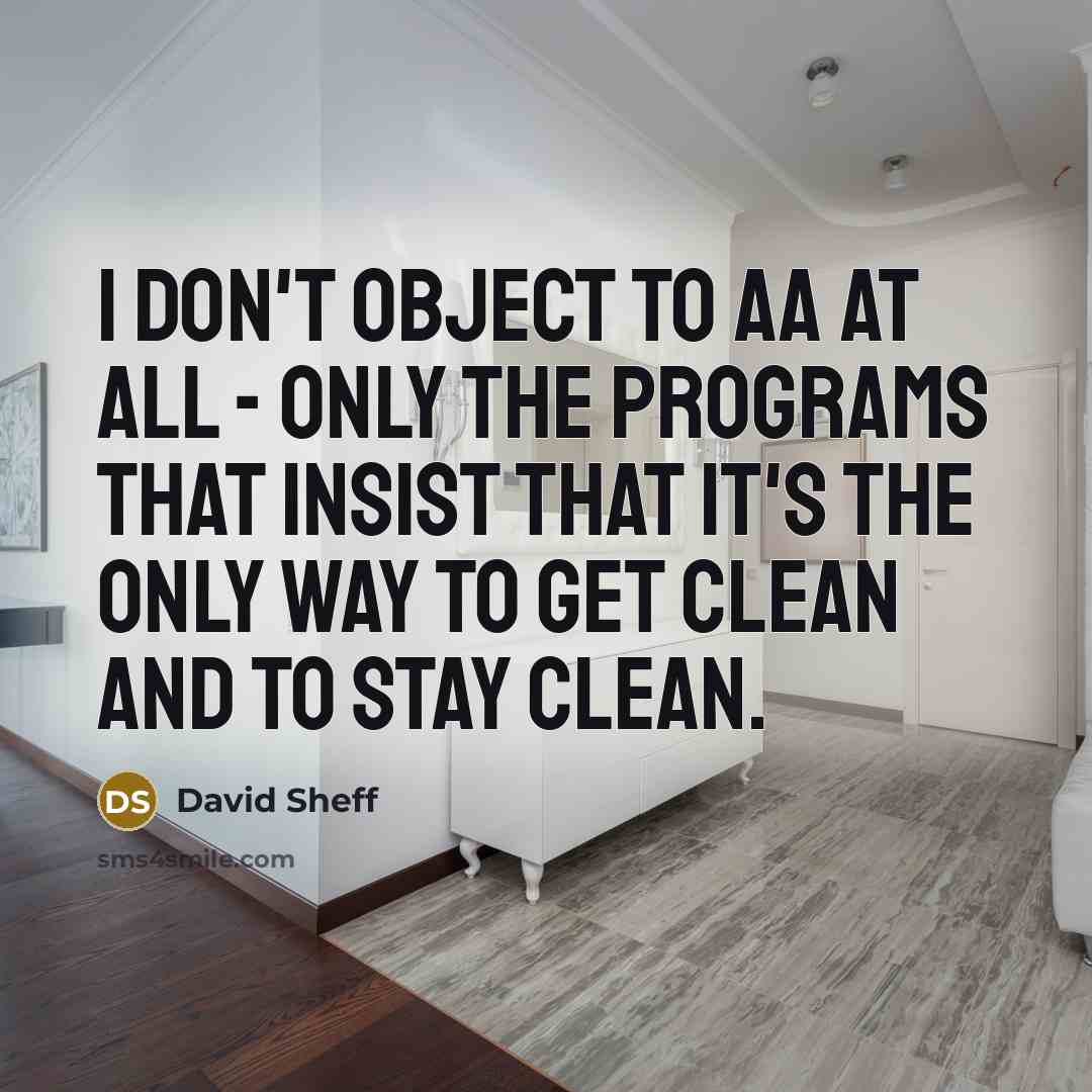 “I don't object to AA at all - only the programs that insist that it's the only way to get clean and to stay clean.” quote by David Sheff