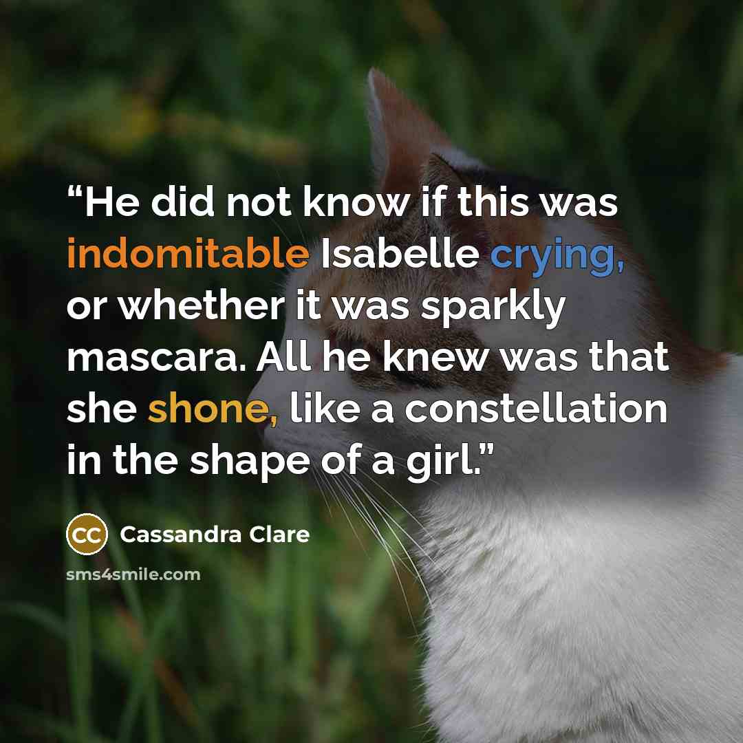 “He did not know if this was indomitable Isabelle crying, or whether it was sparkly mascara. All he knew was that she shone, like a constellation in the shape of a girl.” quote by Cassandra Clare