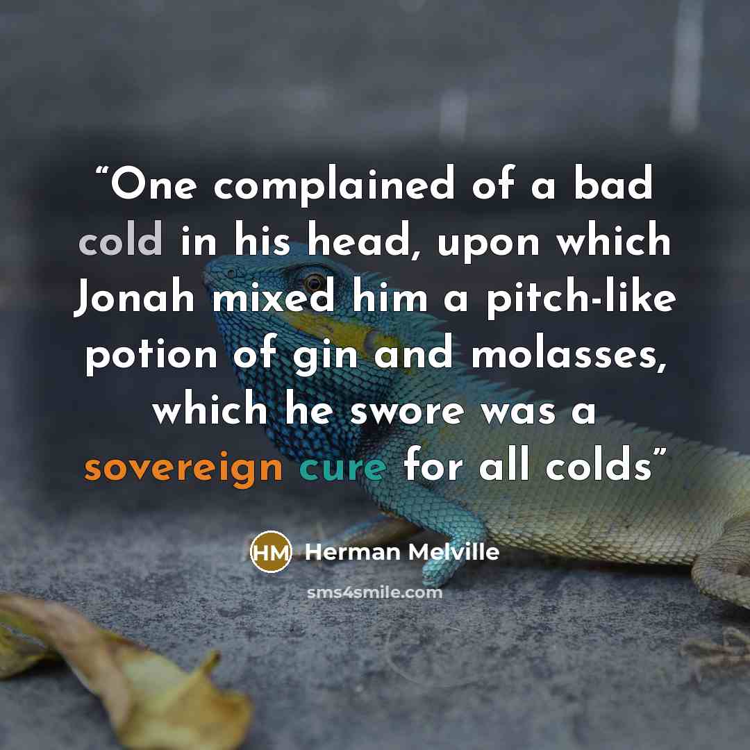 “One complained of a bad cold in his head, upon which Jonah mixed him a pitch-like potion of gin and molasses, which he swore was a sovereign cure for all colds” quote by Herman Melville