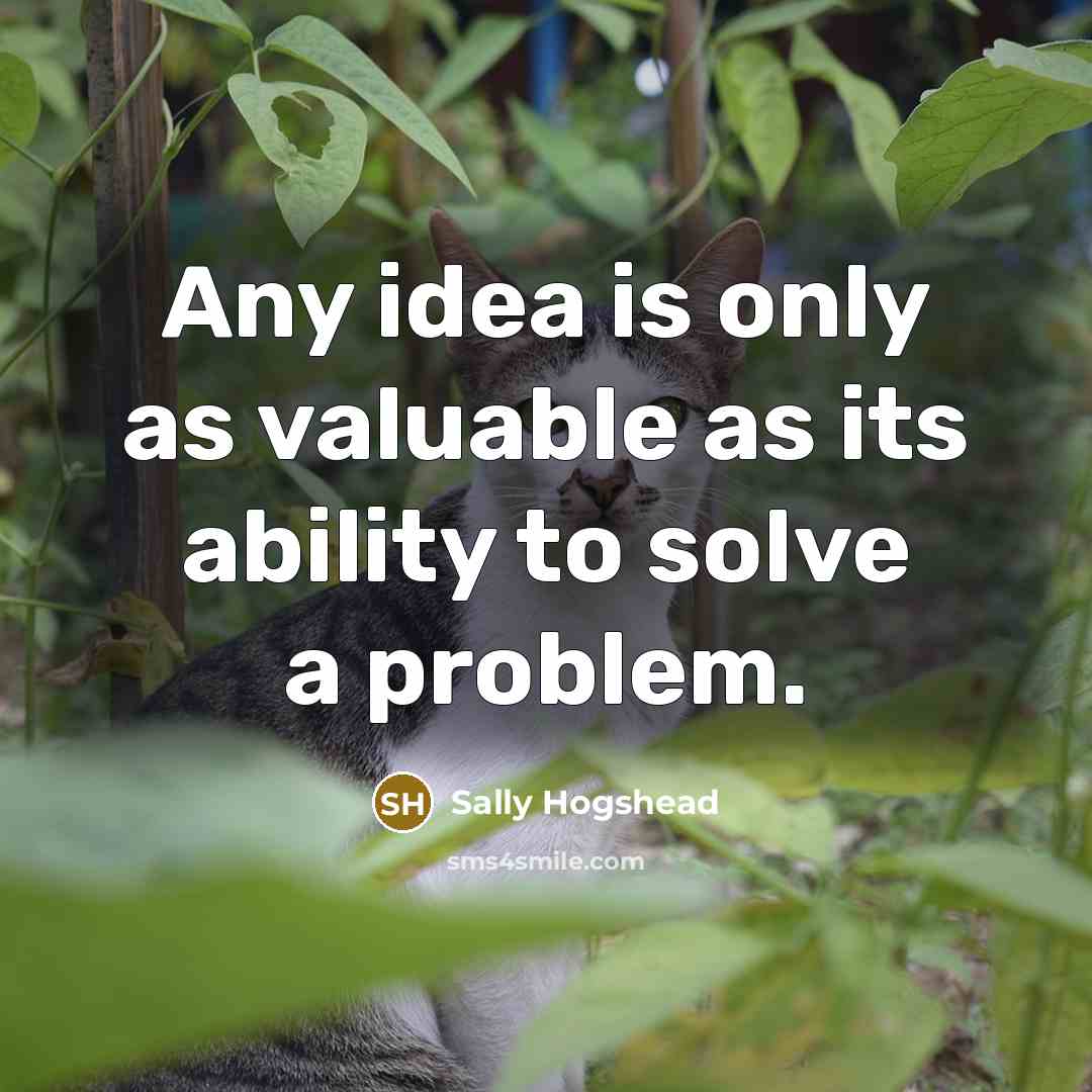 “Any idea is only as valuable as its ability to solve a problem.” quote by Sally Hogshead