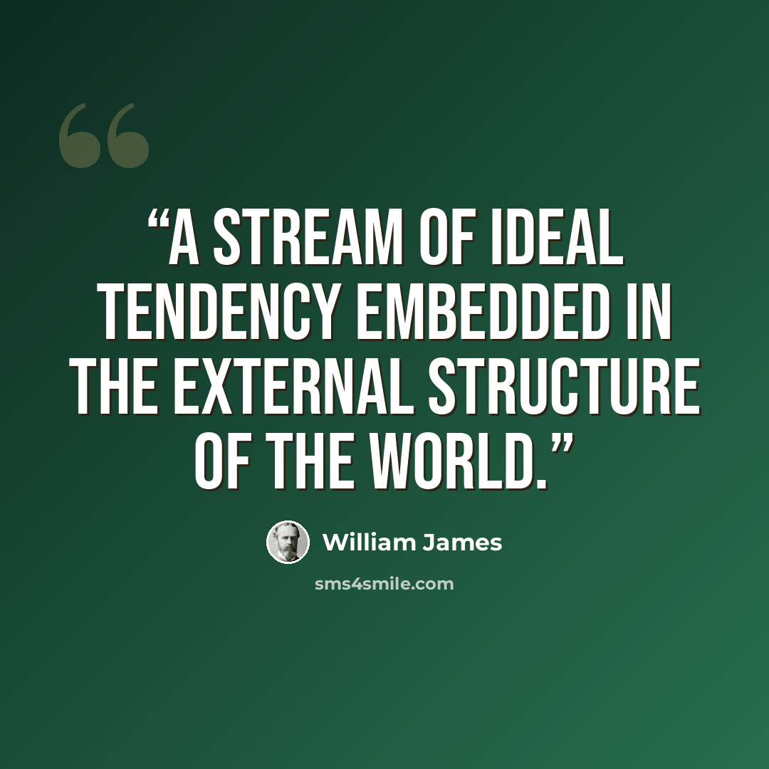 “A stream of ideal tendency embedded in the external structure of the world.” quote by William James
