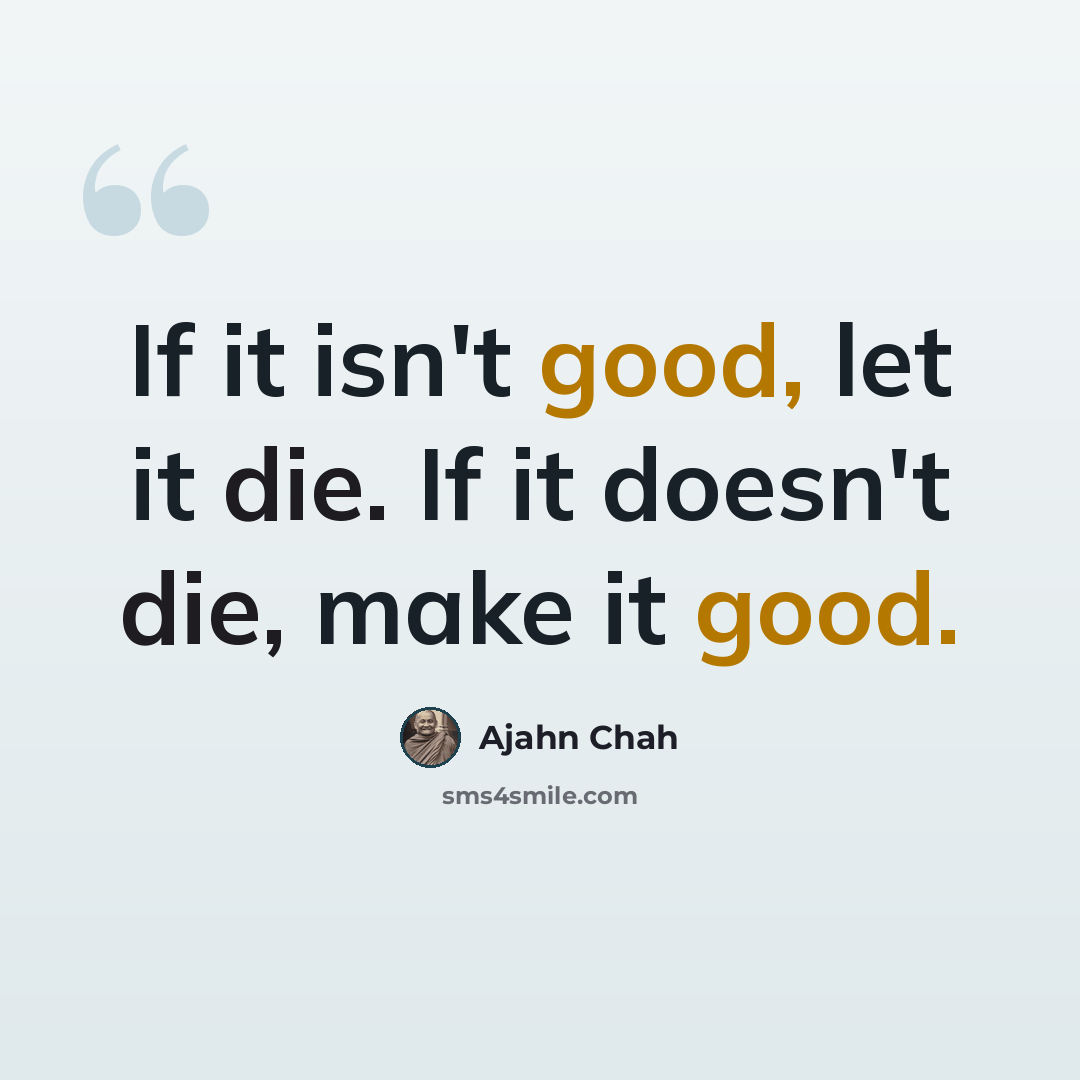 “If it isn't good, let it die. If it doesn't die, make it good.” quote by Ajahn Chah