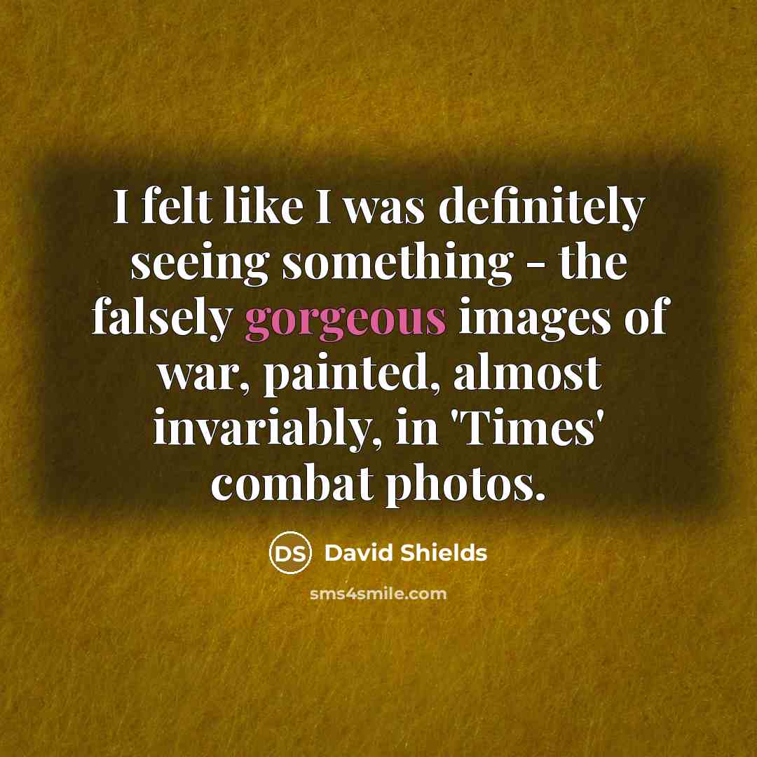 “I felt like I was definitely seeing something - the falsely gorgeous images of war, painted, almost invariably, in 'Times' combat photos.” quote by David Shields