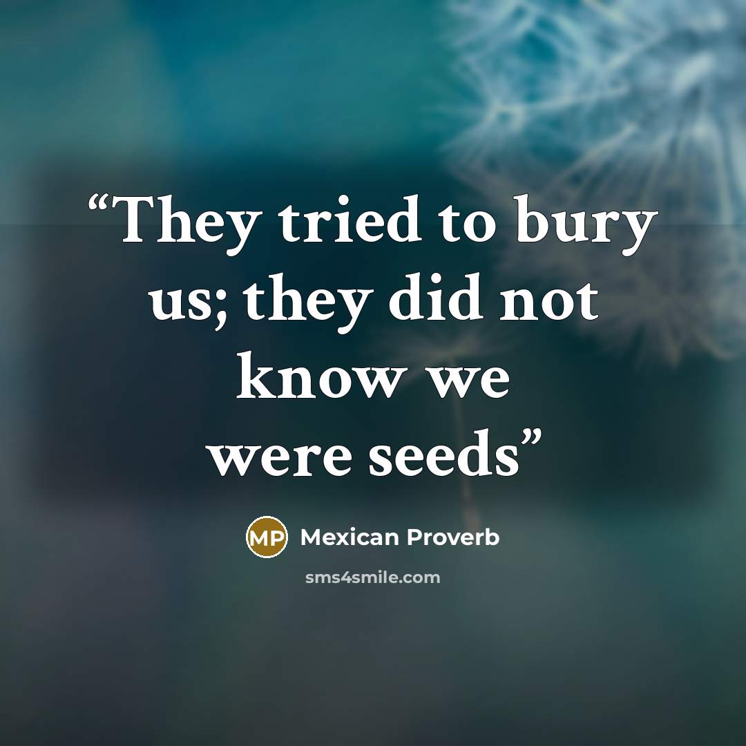 “They tried to bury us; they did not know we were seeds” quote by Mexican Proverb