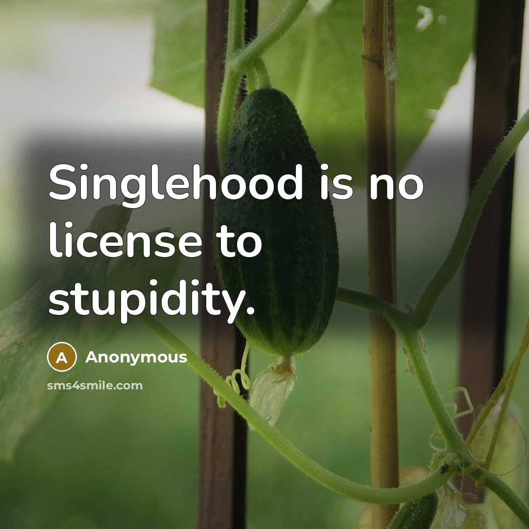 “Singlehood is no license to stupidity.” quote by Anonymous