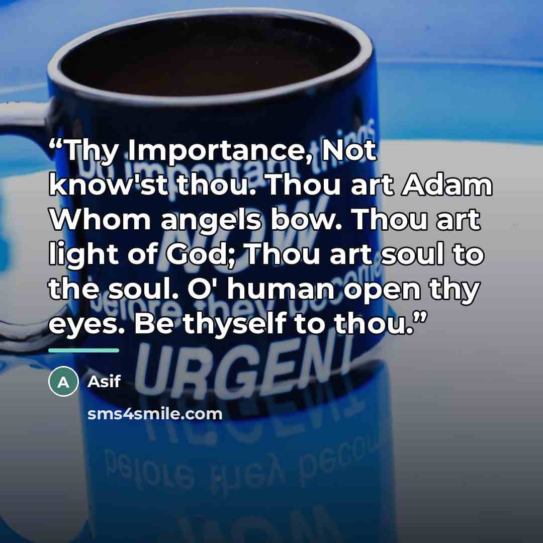 “Thy Importance, Not know'st thou. Thou art Adam Whom angels bow. Thou art light of God; Thou art soul to the soul. O' human open thy eyes. Be thyself to thou.” quote by Asif