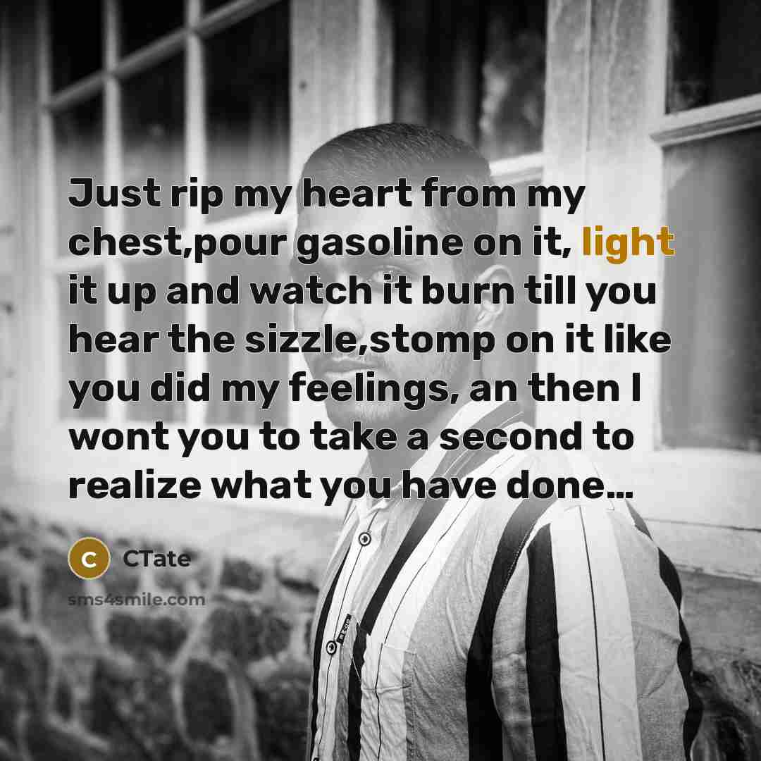“Just rip my heart from my chest,pour gasoline on it, light it up and watch it burn till you hear the sizzle,stomp on it like you did my feelings, an then I wont you to take a second to realize what you have done…” quote by CTate