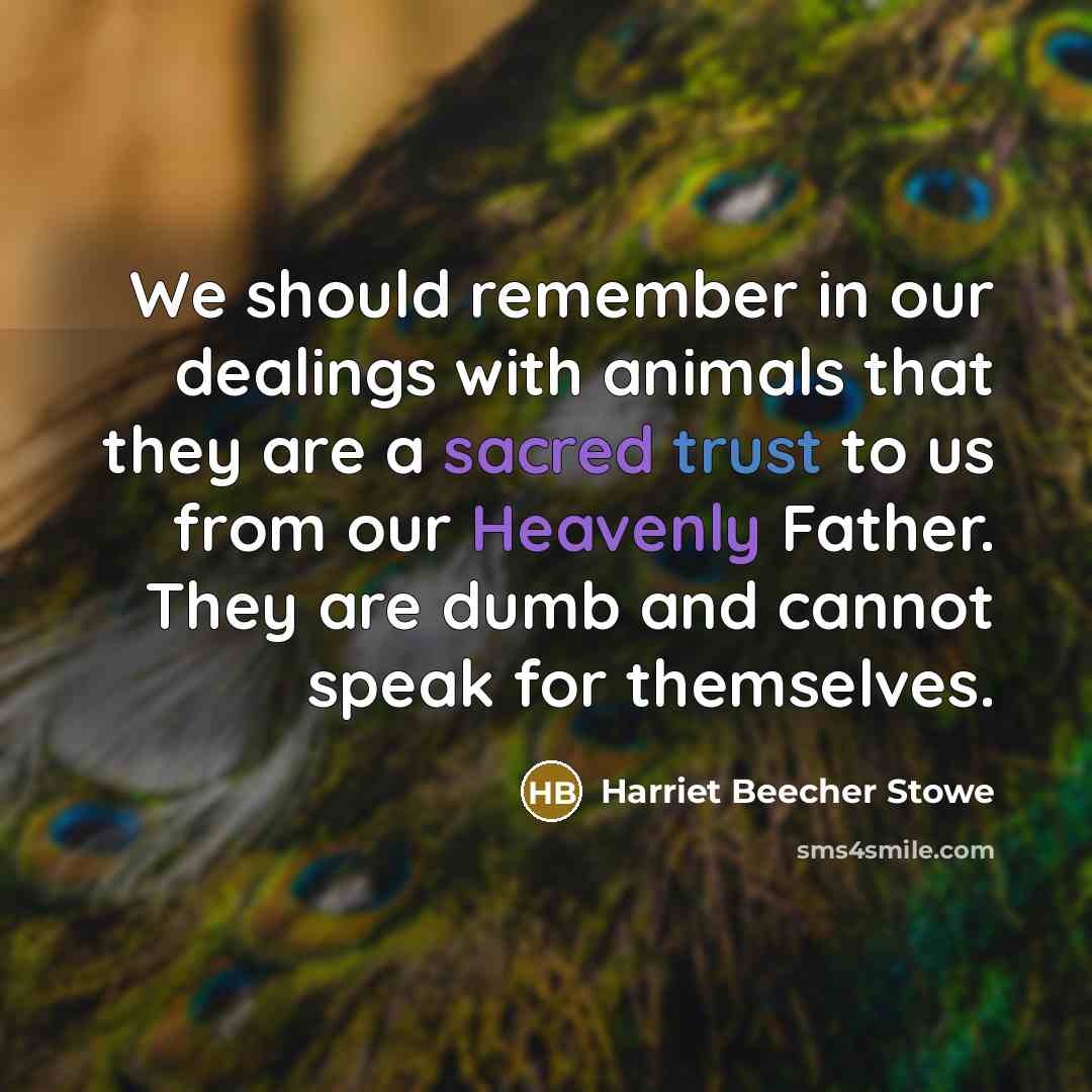 “We should remember in our dealings with animals that they are a sacred trust to us from our Heavenly Father. They are dumb and cannot speak for themselves.” quote by Harriet Beecher Stowe