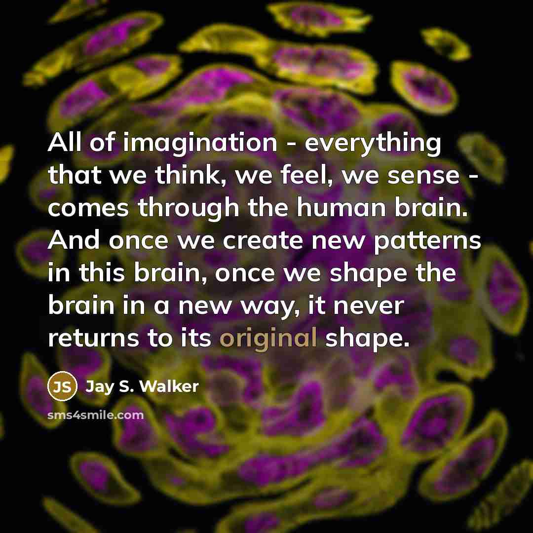 “All of imagination - everything that we think, we feel, we sense - comes through the human brain. And once we create new patterns in this brain, once we shape the brain in a new way, it never returns to its original shape.” quote by Jay S. Walker