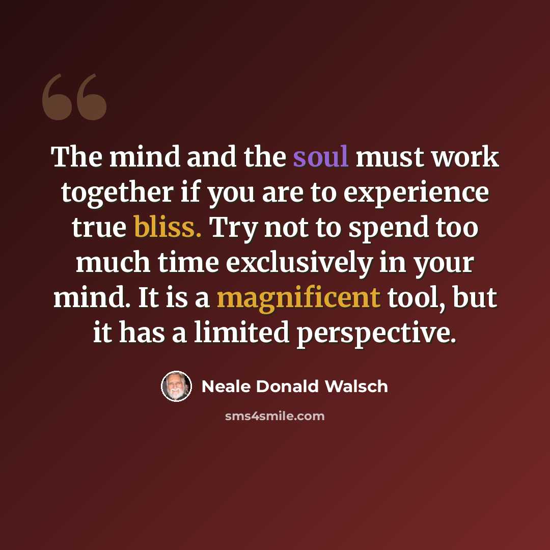 “The mind and the soul must work together if you are to experience true bliss. Try not to spend too much time exclusively in your mind. It is a magnificent tool, but it has a limited perspective.” quote by Neale Donald Walsch