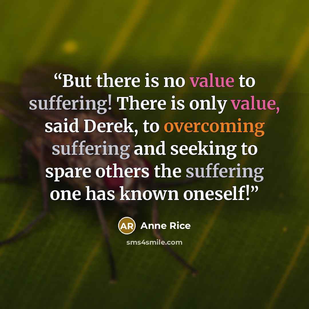 “But there is no value to suffering! There is only value, said Derek, to overcoming suffering and seeking to spare others the suffering one has known oneself!” quote by Anne Rice