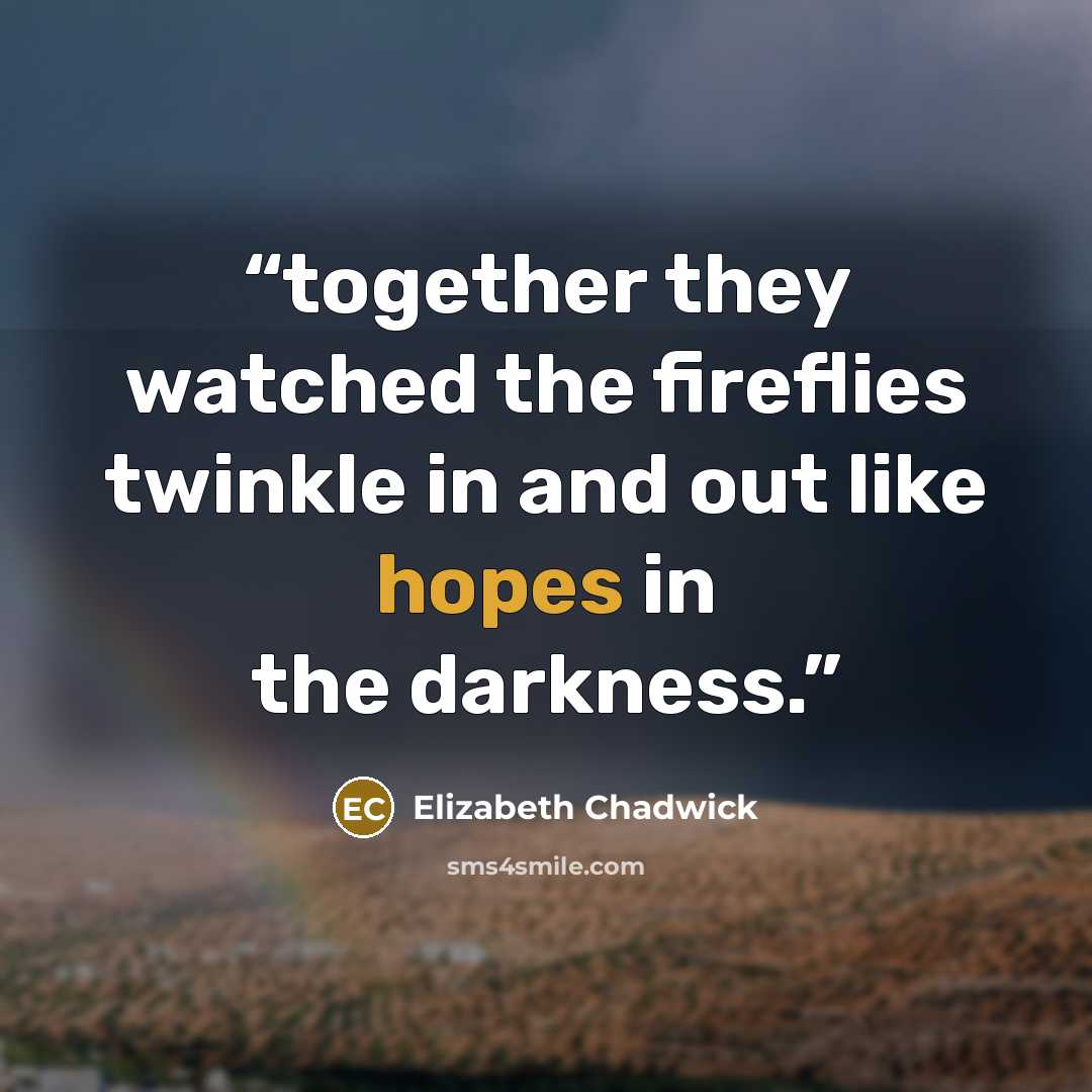 “together they watched the fireflies twinkle in and out like hopes in the darkness.” quote by Elizabeth Chadwick