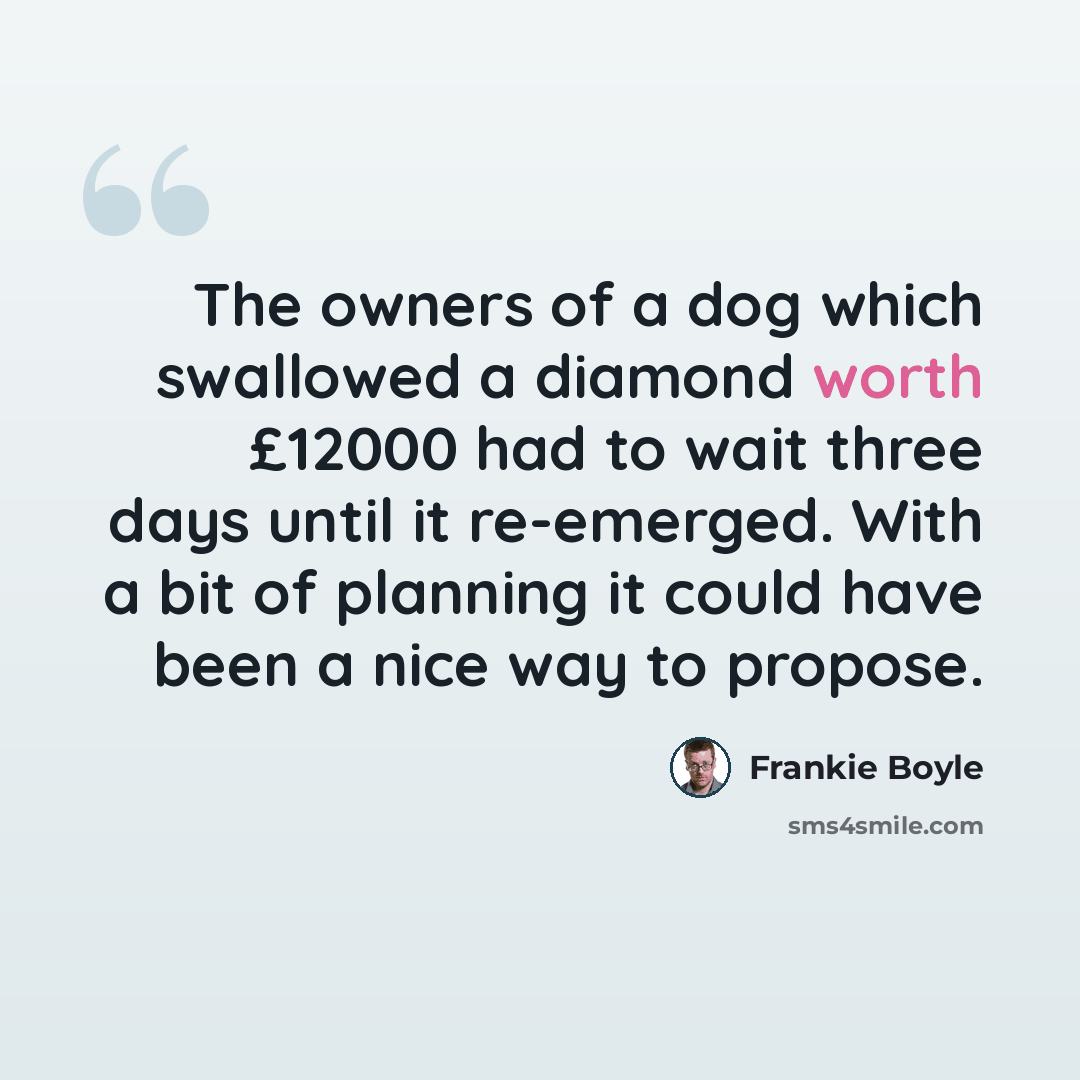 “The owners of a dog which swallowed a diamond worth £12000 had to wait three days until it re-emerged. With a bit of planning it could have been a nice way to propose.” quote by Frankie Boyle