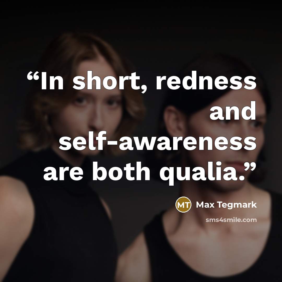 “In short, redness and self-awareness are both qualia.” quote by Max Tegmark
