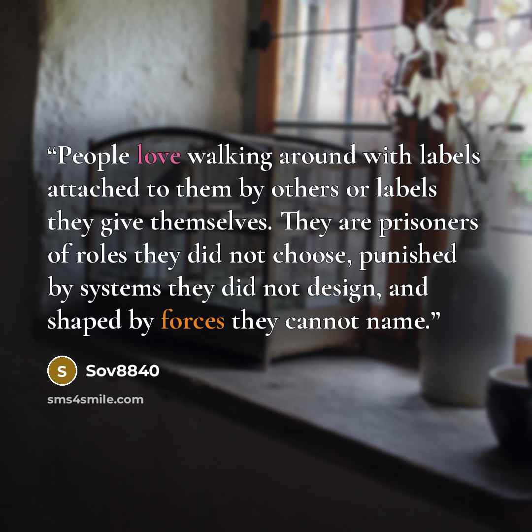 “People love walking around with labels attached to them by others or labels they give themselves. They are prisoners of roles they did not choose, punished by systems they did not design, and shaped by forces they cannot name.” quote by Sov8840