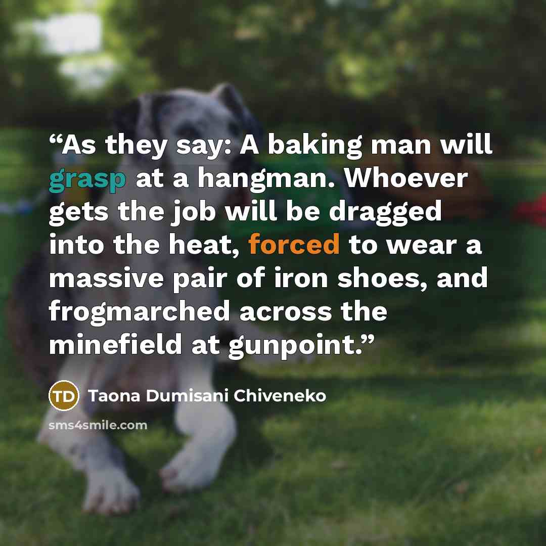 “As they say: A baking man will grasp at a hangman. Whoever gets the job will be dragged into the heat, forced to wear a massive pair of iron shoes, and frogmarched across the minefield at gunpoint.” quote by Taona Dumisani Chiveneko