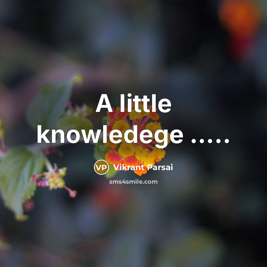 “A little knowledege …..” quote by Vikrant Parsai