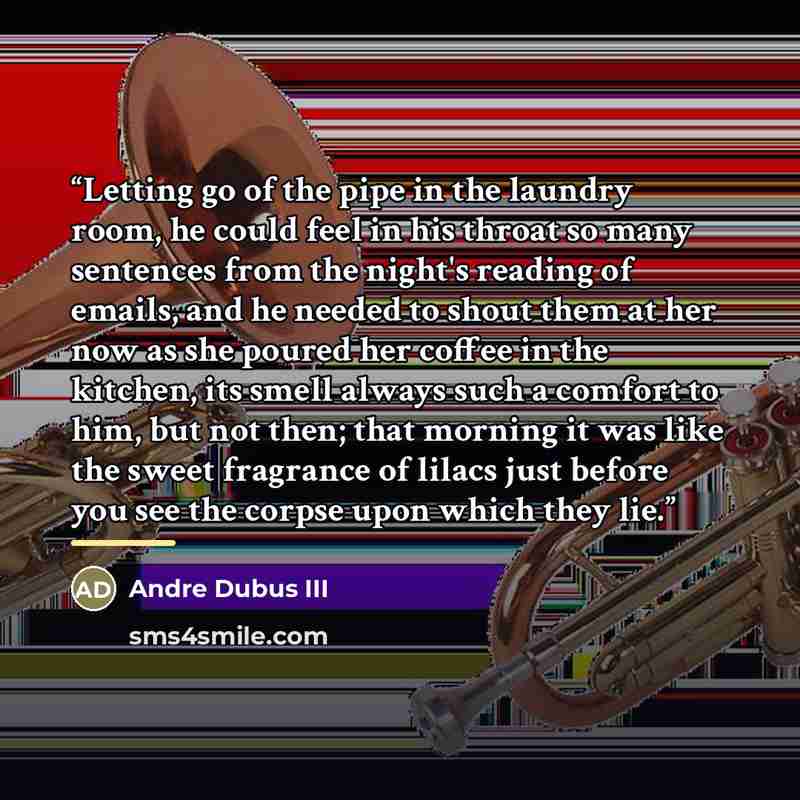 “Letting go of the pipe in the laundry room, he could feel in his throat so many sentences from the night's reading of emails, and he needed to shout them at her now as she poured her coffee in the kitchen, its smell always such a comfort to him, but not then; that morning it was like the sweet…” quote by Andre Dubus III