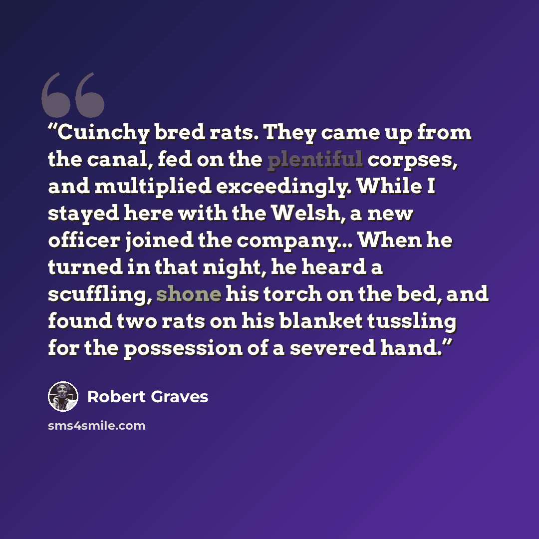“Cuinchy bred rats. They came up from the canal, fed on the plentiful corpses, and multiplied exceedingly. While I stayed here with the Welsh, a new officer joined the company... When he turned in that night, he heard a scuffling, shone his torch on the bed, and found two rats on his blanket…” quote by Robert Graves
