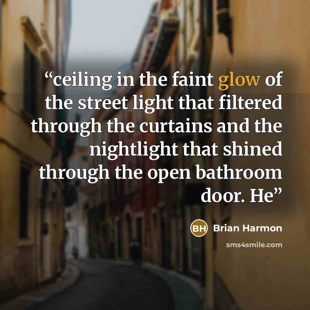 “ceiling in the faint glow of the street light that filtered through the curtains and the nightlight that shined through the open bathroom door. He” quote by Brian Harmon
