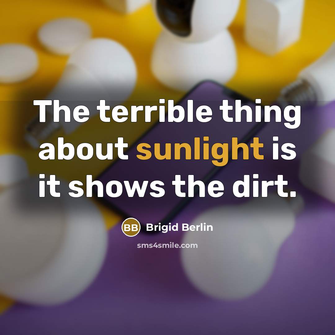 “The terrible thing about sunlight is it shows the dirt.” quote by Brigid Berlin