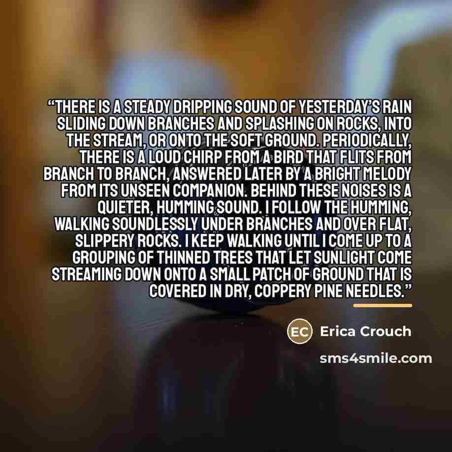 “There is a steady dripping sound of yesterday’s rain sliding down branches and splashing on rocks, into the stream, or onto the soft ground. Periodically, there is a loud chirp from a bird that flits from branch to branch, answered later by a bright melody from its unseen companion. Behind these…” quote by Erica Crouch