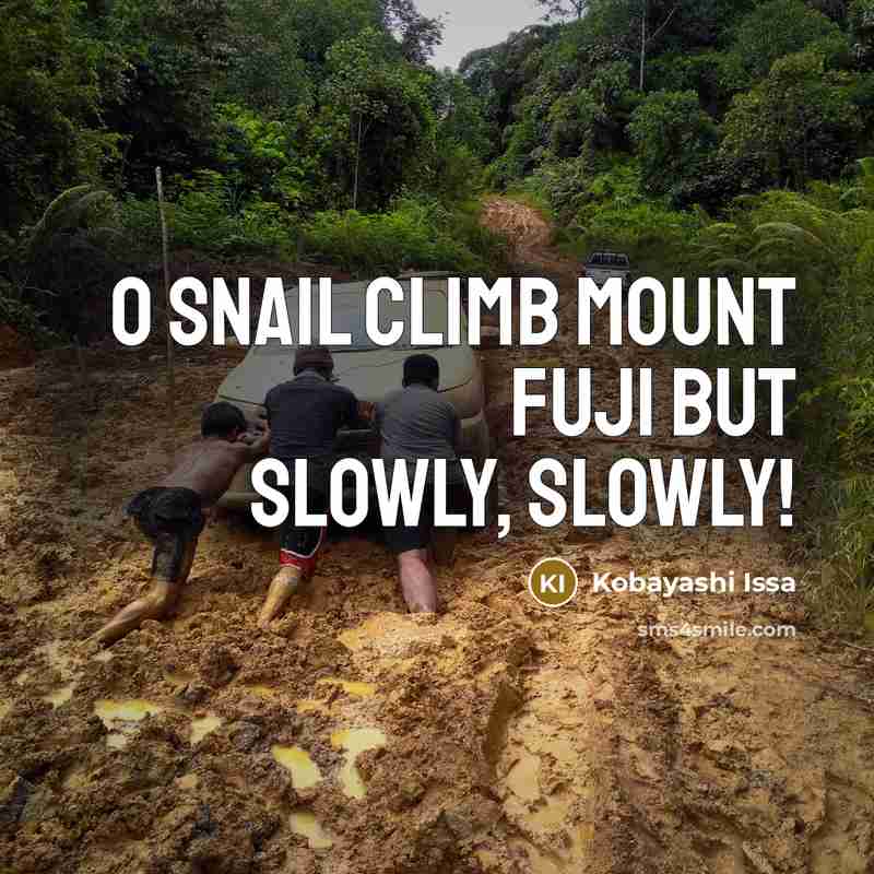 “O snail Climb Mount Fuji But slowly, slowly!” quote by Kobayashi Issa