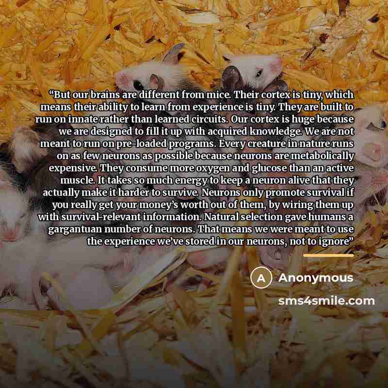 “But our brains are different from mice. Their cortex is tiny, which means their ability to learn from experience is tiny. They are built to run on innate rather than learned circuits. Our cortex is huge because we are designed to fill it up with acquired knowledge. We are not meant to run on…” quote by Anonymous