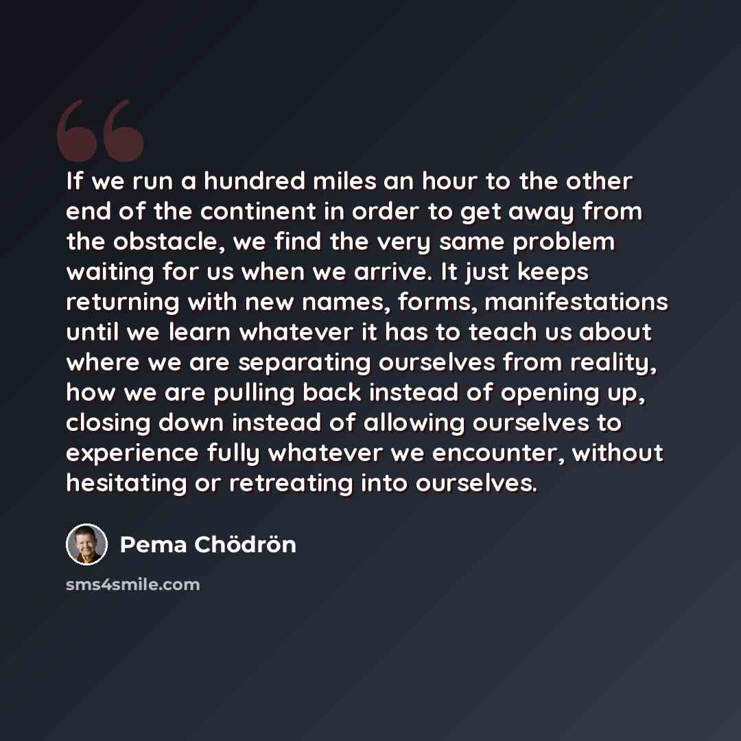 “If we run a hundred miles an hour to the other end of the continent in order to get away from the obstacle, we find the very same problem waiting for us when we arrive. It just keeps returning with new names, forms, manifestations until we learn whatever it has to teach us about where we are…” quote by Pema Chodron