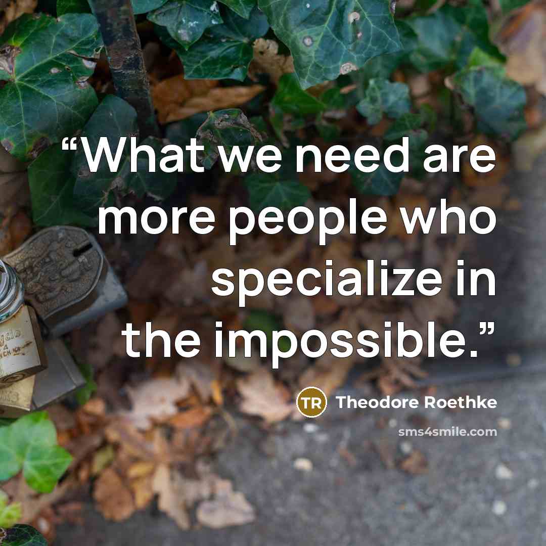 “What we need are more people who specialize in the impossible.” quote by Theodore Roethke