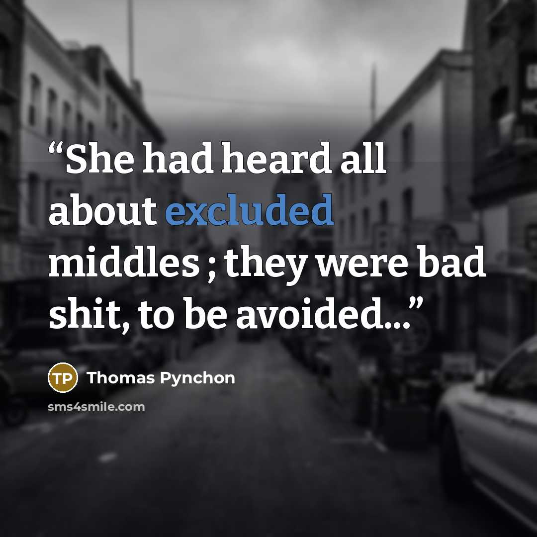 “She had heard all about excluded middles ; they were bad shit, to be avoided...” quote by Thomas Pynchon